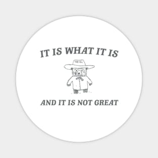 It is what it is and it ain't great Unisex Magnet